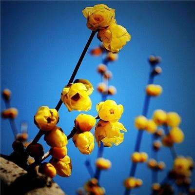 云开平台APP官方全站APP入口