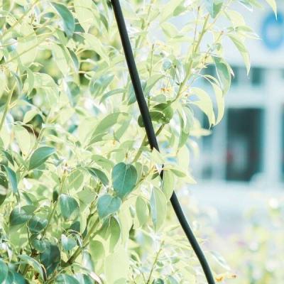 乐虎国际app下载