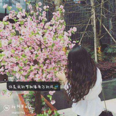 ManBetX客户端登录手机app下载